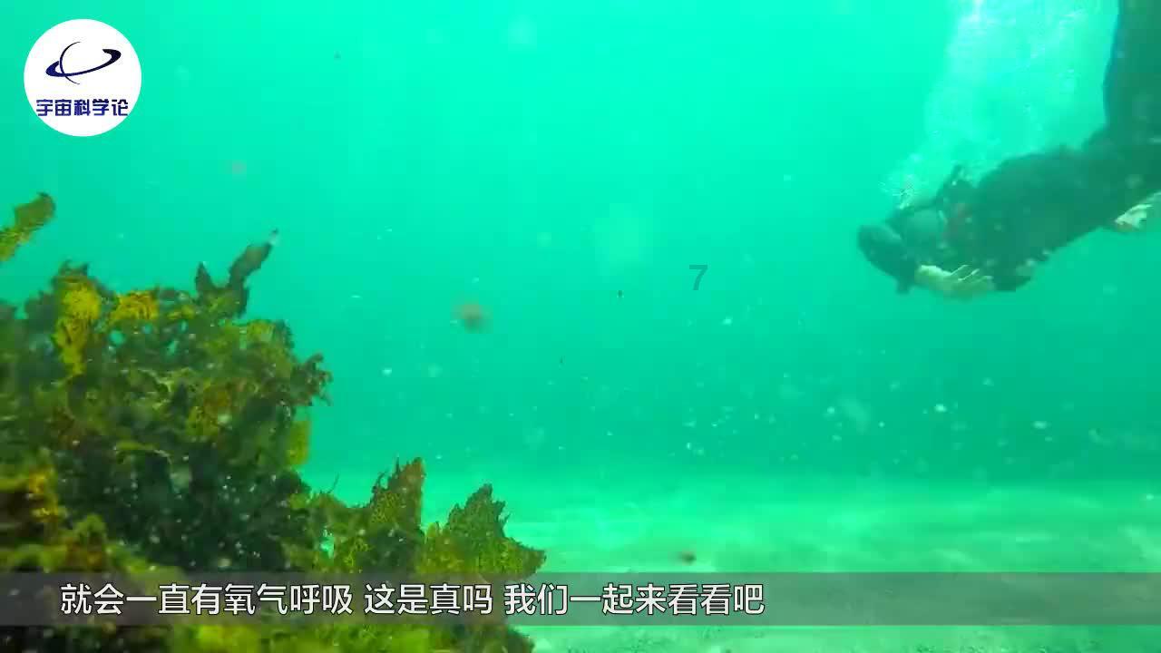 逃离神秘海底世界